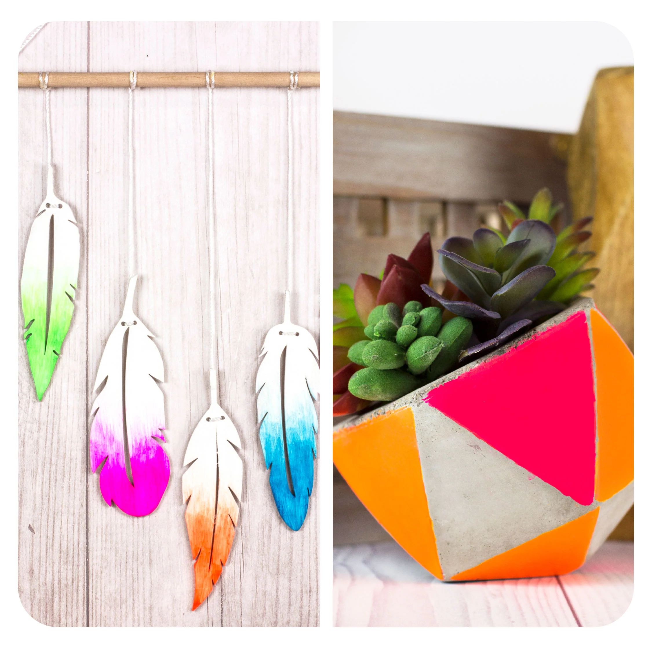 Top Notch Neons - 24 Count - Image 2